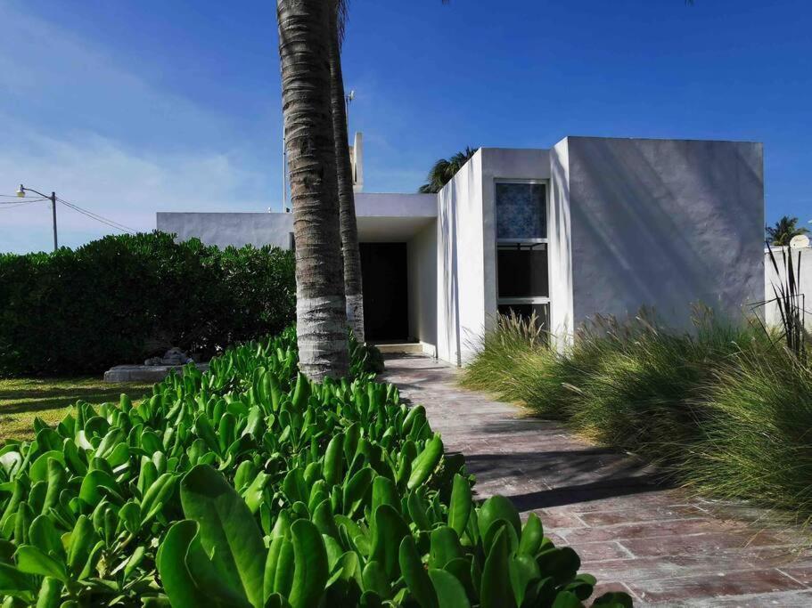 Casa Kay - 1 Lägenhet Sisal Exteriör bild
